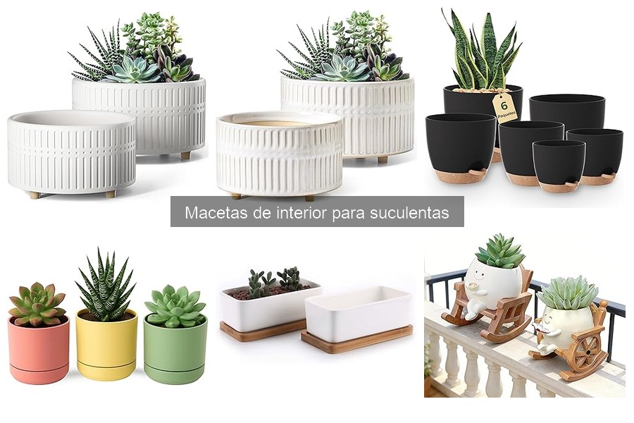 Ideas Creativas para Personalizar Macetas de Suculentas
