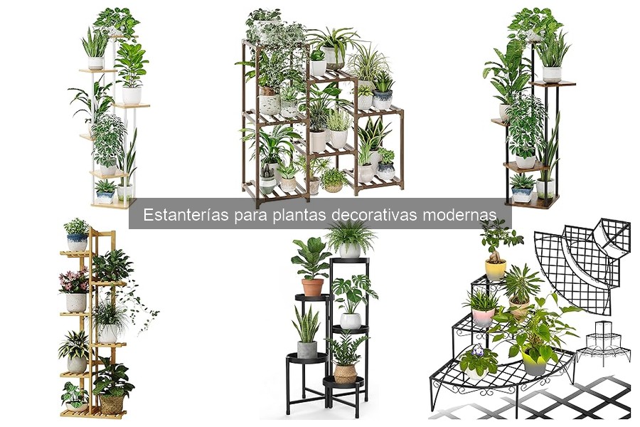 Ideas de decoración con estanterías para plantas modernas