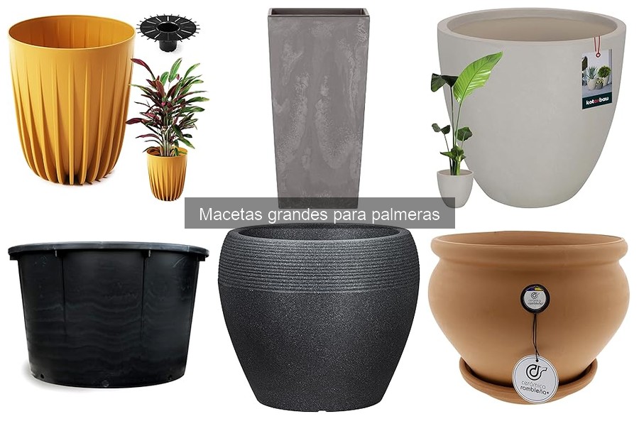 Ideas de Decoración con Macetas Grandes para Palmeras