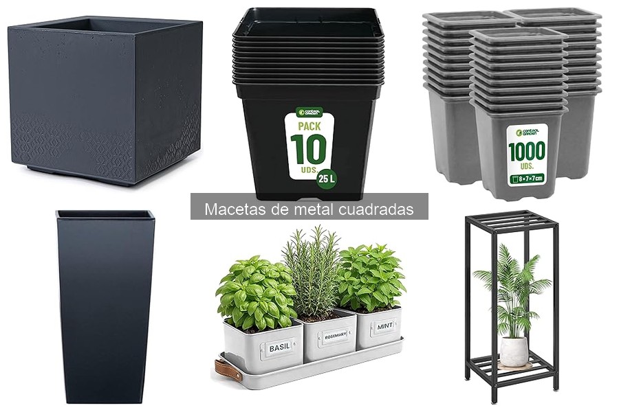 Ideas de Plantación para Macetas de Metal Cuadradas