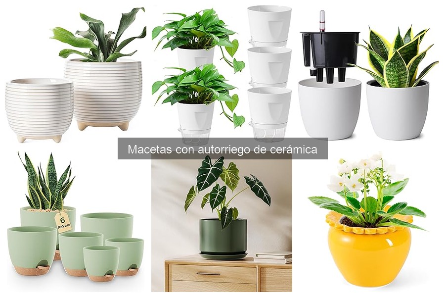 Ideas de Plantas para Macetas con Autorriego de Cerámica