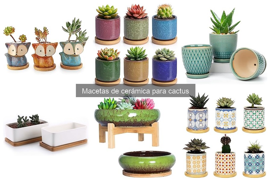 Ideas decorativas con macetas de cerámica para cactus