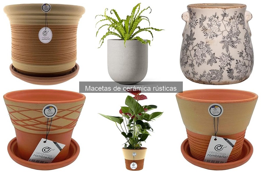 Ideas decorativas con macetas de cerámica rústicas