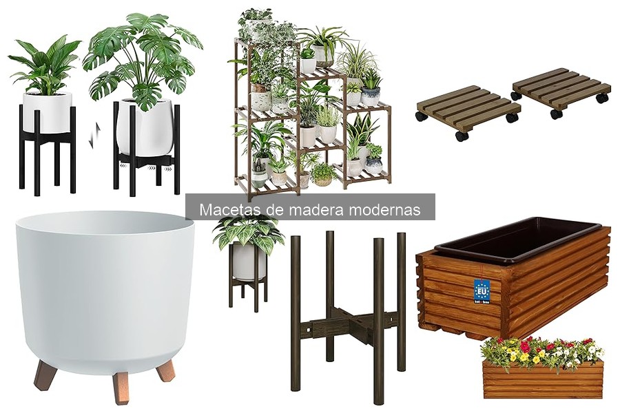 Ideas decorativas con macetas de madera modernas