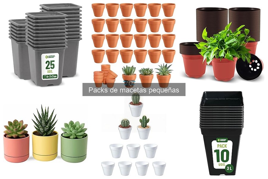 Ideas para Combinar Packs de Macetas Pequeñas en Decoraciones