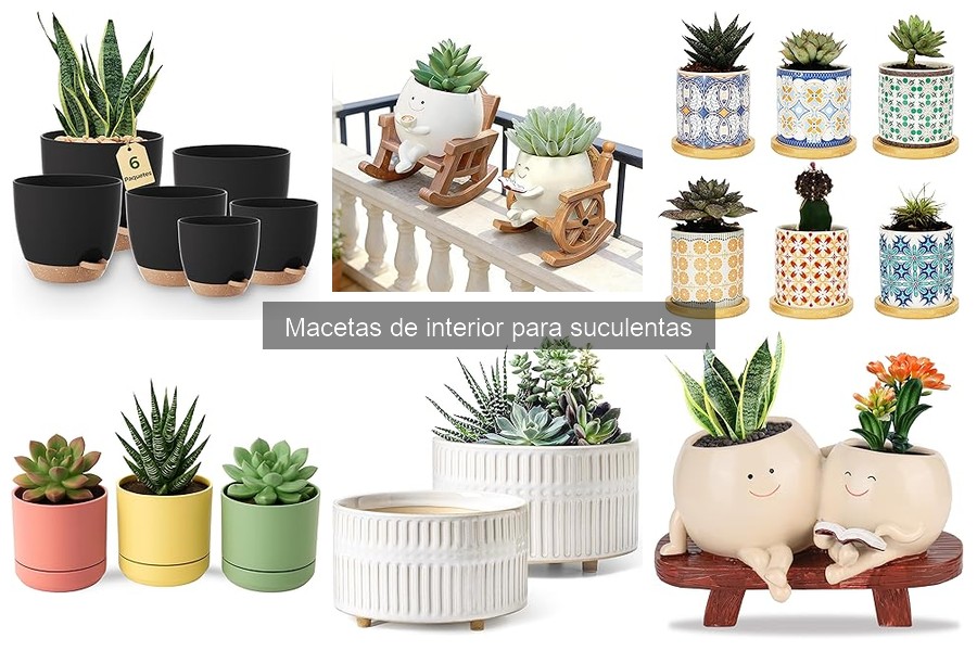Ideas para Decorar con Macetas de Suculentas en Interiores