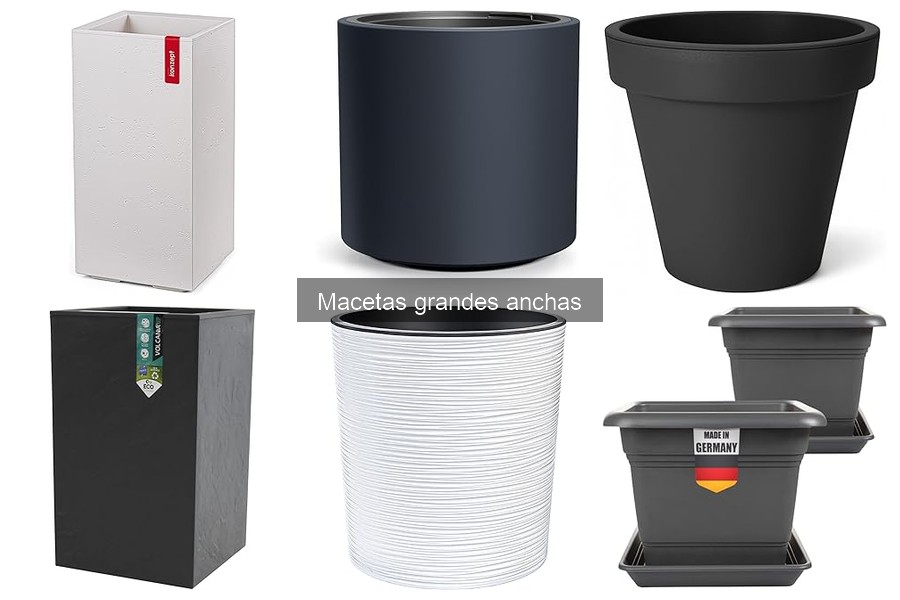 Ideas para Decorar con Macetas Grandes Anchas