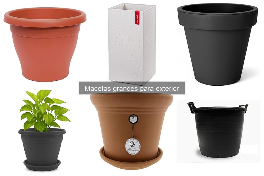 Ideas para Decorar con Macetas Grandes en Exteriores