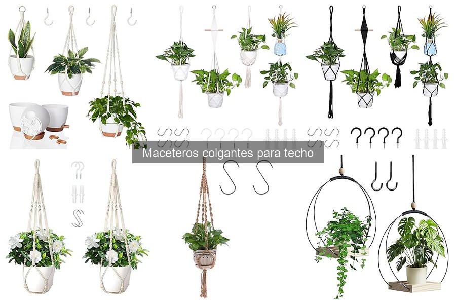 Ideas para Decorar con Maceteros Colgantes en Tu Hogar
