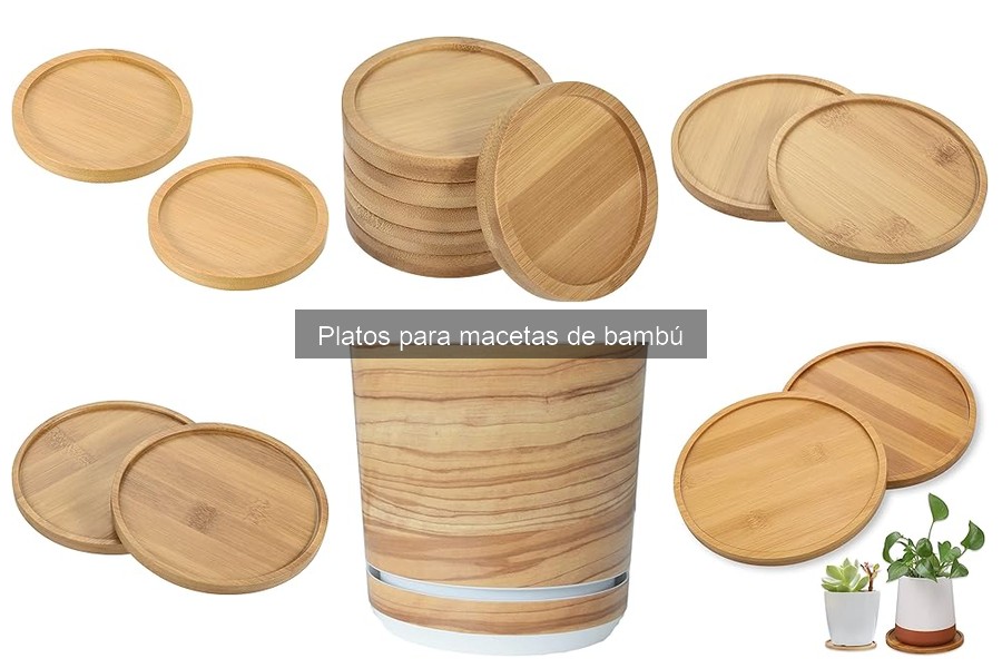 Ideas para Personalizar Platos de Macetas de Bambú