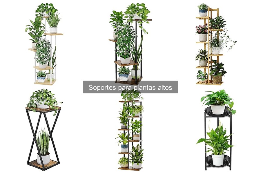 Impacto ambiental de los soportes para plantas altos