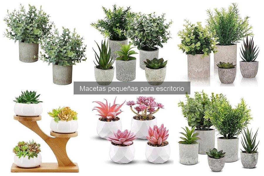 Impacto de las Macetas Pequeñas en la Productividad Laboral
