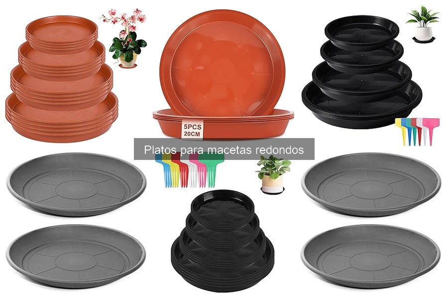 Importancia de los platos para macetas redondos en el cuidado de tus plantas