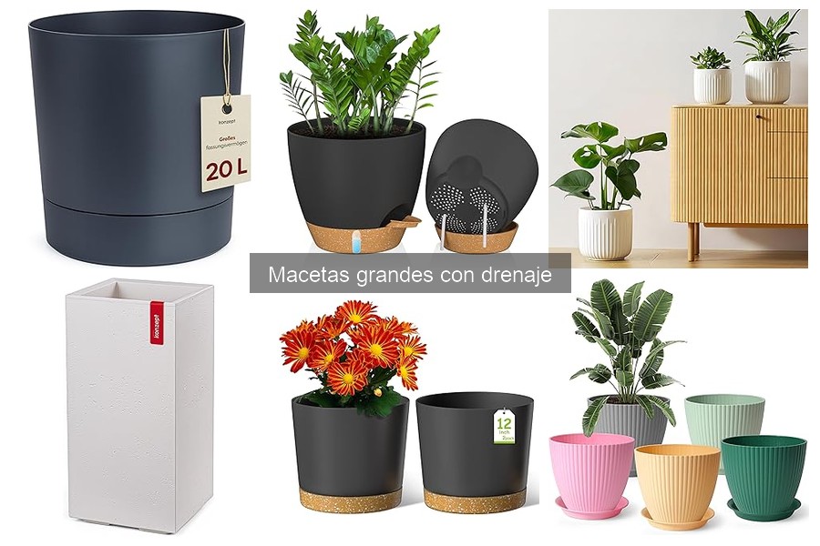 Importancia del Drenaje en Macetas Grandes para Plantas