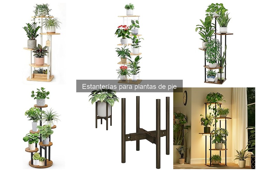 Instalación de Estanterías para Plantas de Pie: Guía Práctica