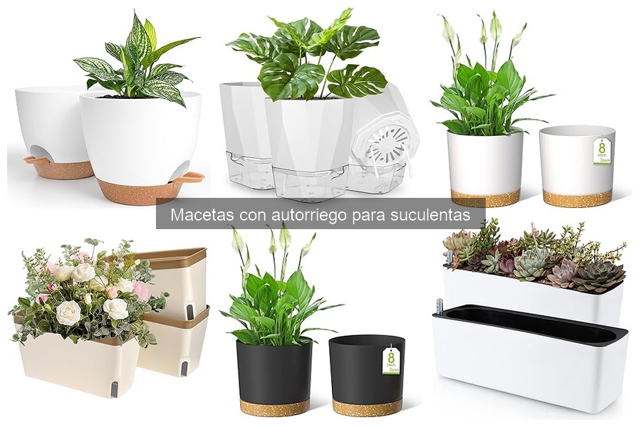 Instrucciones para Instalar Macetas con Autorriego para Suculentas