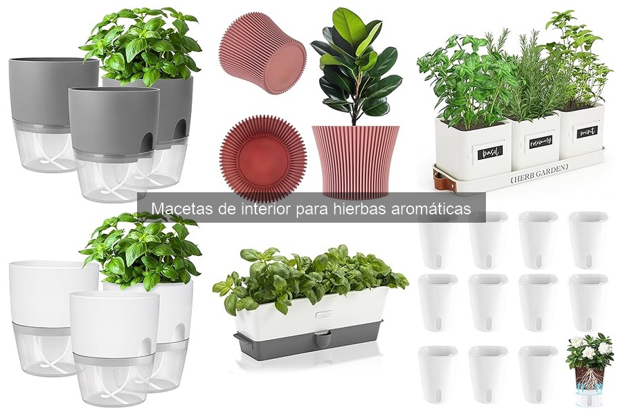 Instrucciones para plantar hierbas aromáticas en macetas