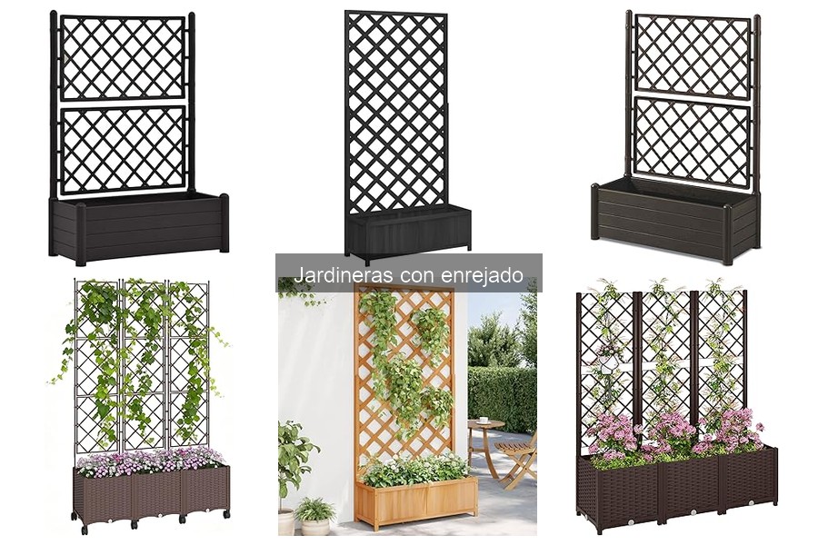 Jardineras con Enrejado para Plantas Trepadoras: ¿Qué Buscar?