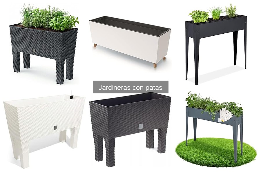Jardineras con patas DIY: ¡Aprende a hacerlas en casa!