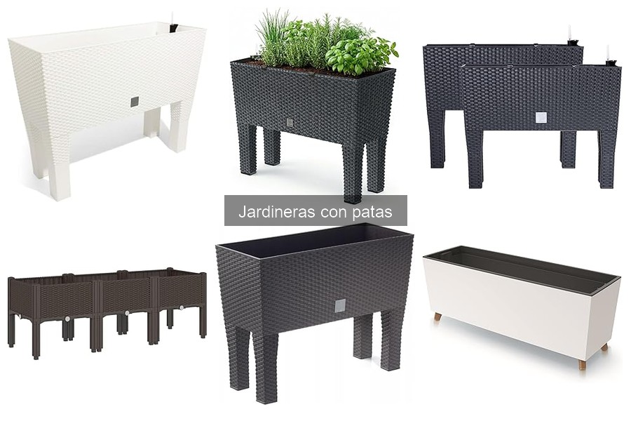 Jardineras con patas modernas: tendencias 2024