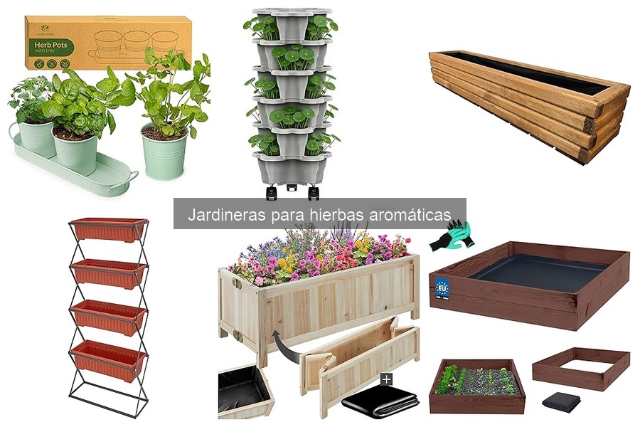 Jardineras para Hierbas Aromáticas: ¿Qué son y sus características?