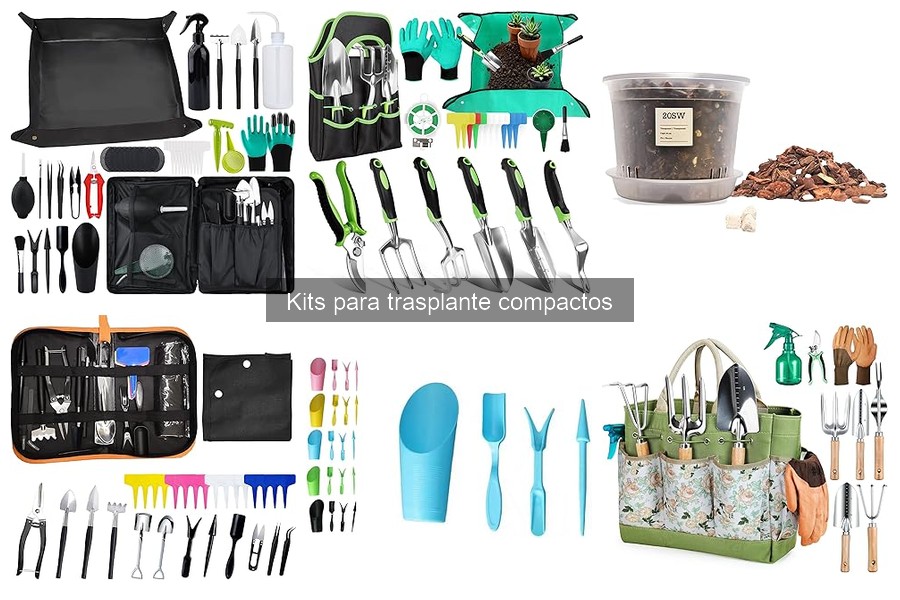 Kits de trasplante compacto vs. otros métodos de trasplante