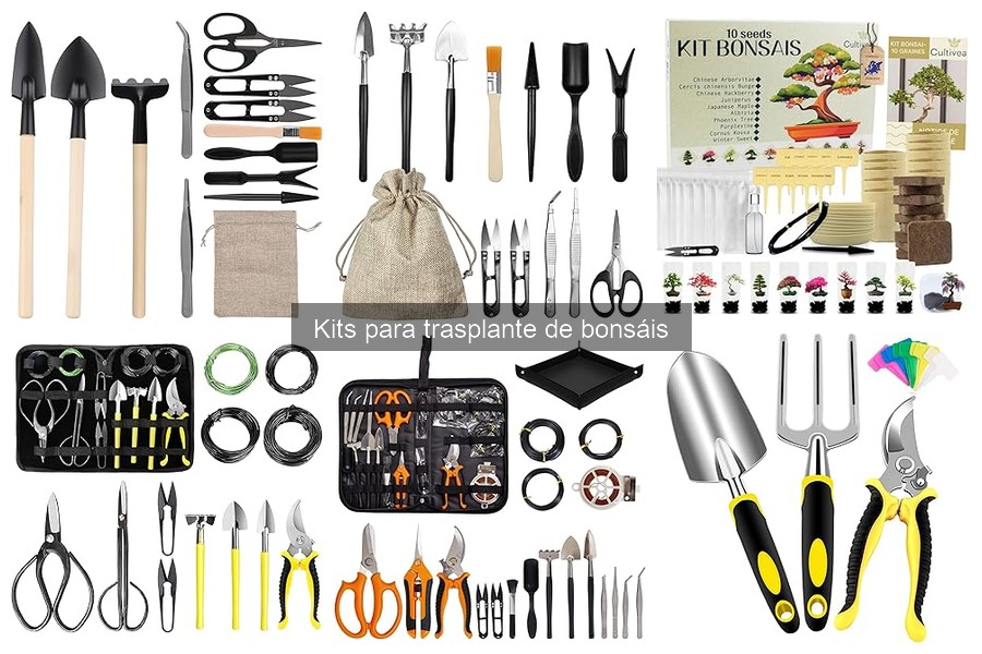 Kits de trasplante de bonsáis: precios y opciones recomendadas