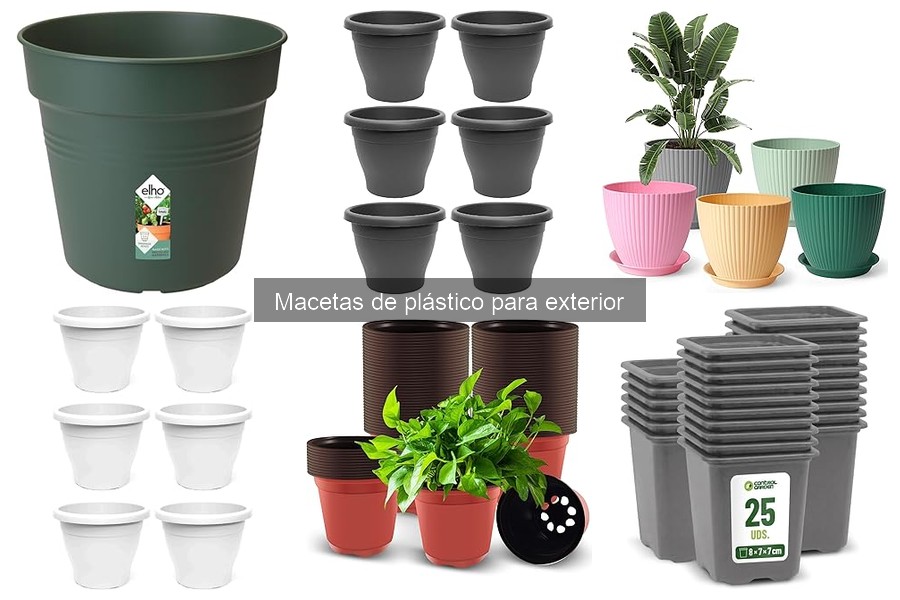 Las Mejores Plantas para Macetas de Plástico en Exterior
