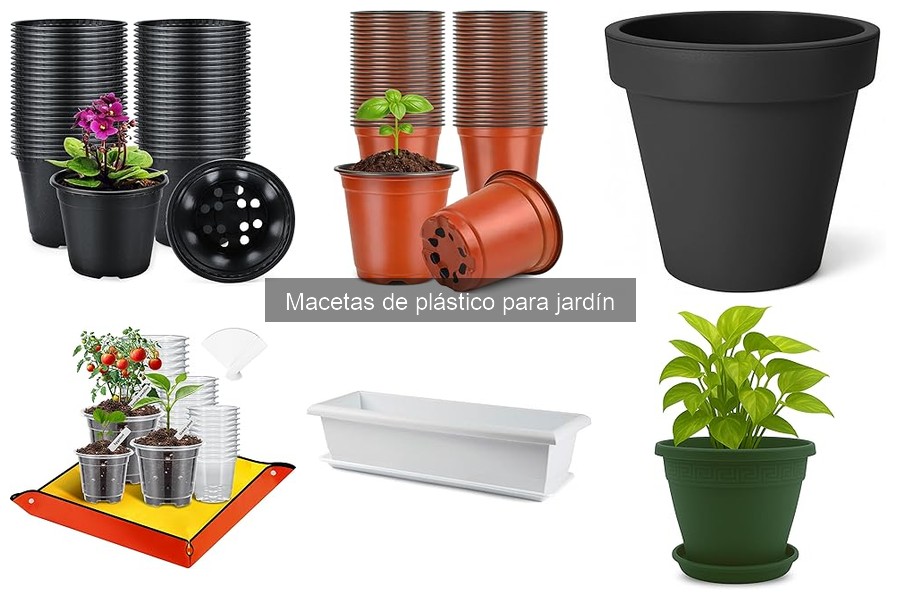 Las mejores plantas para macetas de plástico en jardín