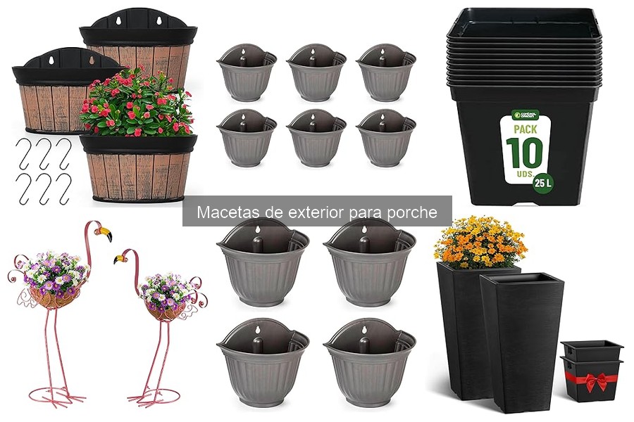 ** Las mejores plantas para macetas en el porche exterior