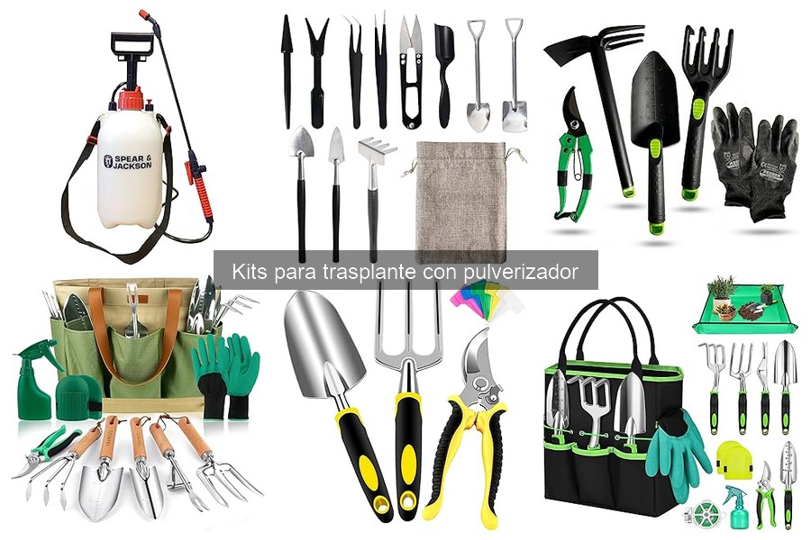 Las mejores plantas para trasplantar con un kit de pulverizador