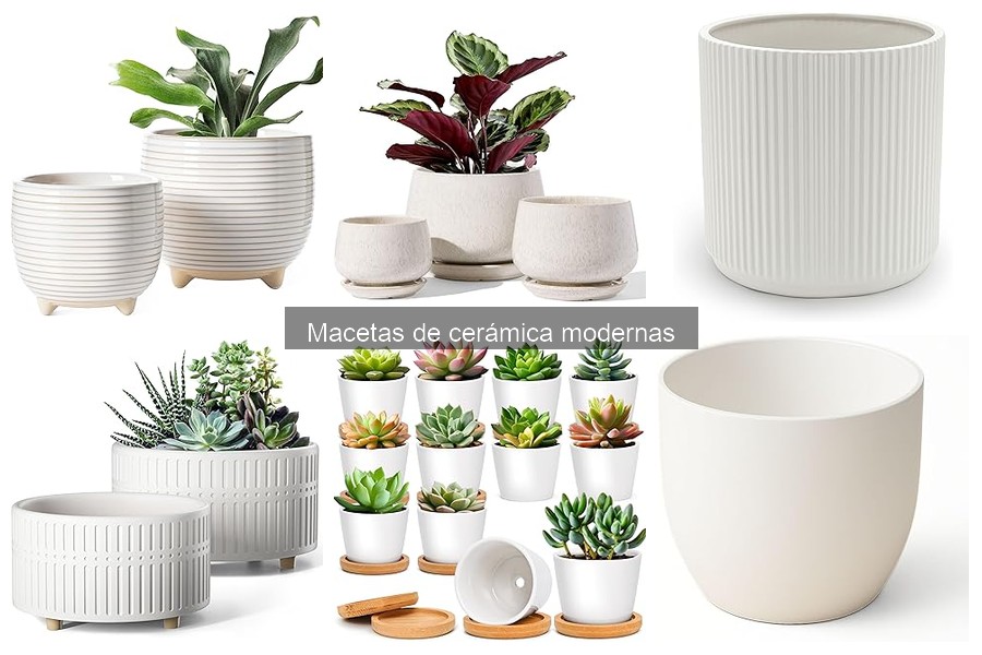 Los mejores colores para macetas de cerámica modernas