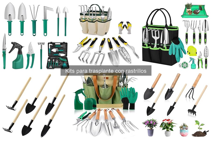 Los mejores kits para trasplante: comparativa y recomendaciones