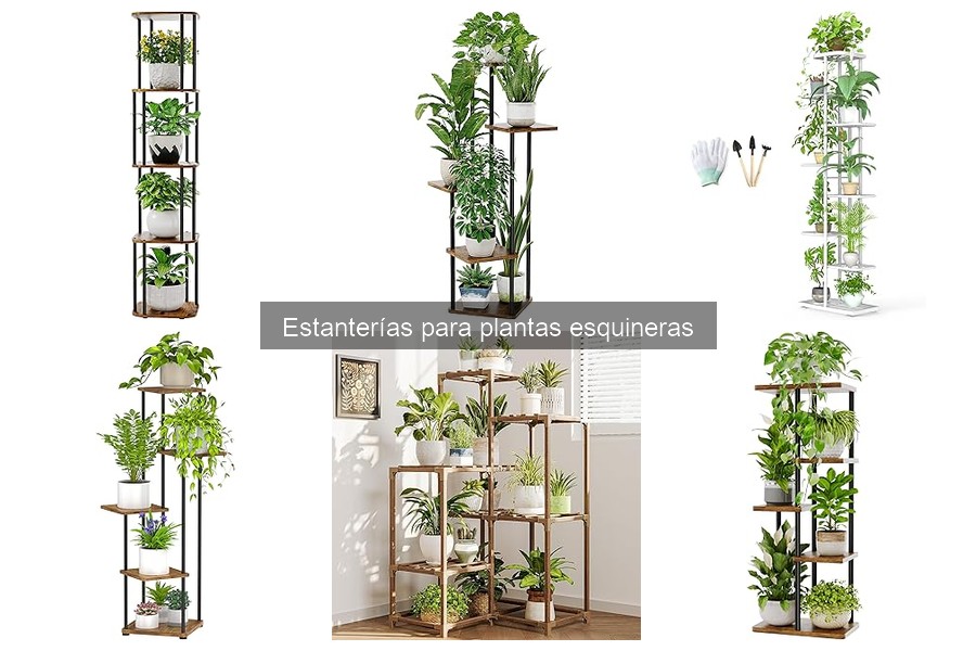 Los mejores materiales de estanterías para plantas esquineras