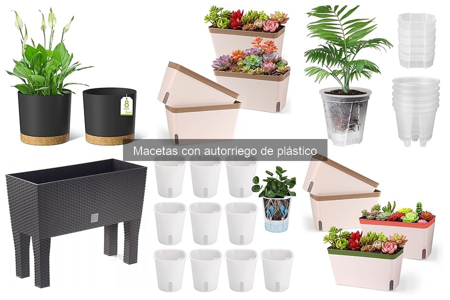 Macetas con autorriego en jardinería vertical: Beneficios y consejos