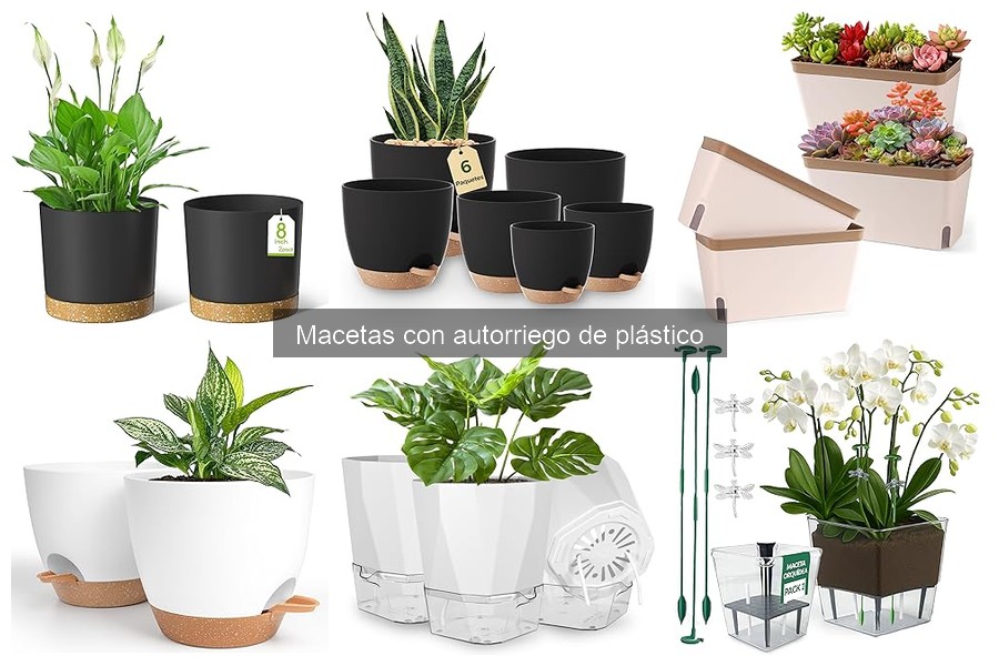 Macetas con Autorriego para Plantas Específicas: Guía Útil