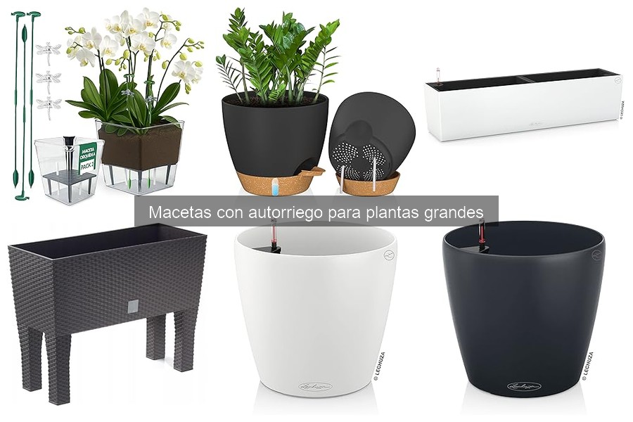 Macetas con autorriego para plantas grandes: ¿Qué son y cómo funcionan?