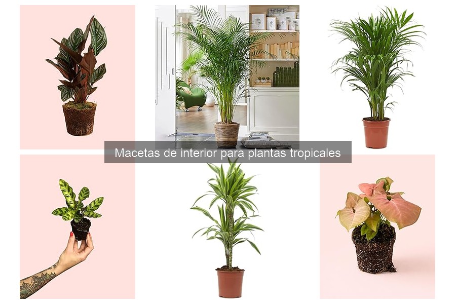 Macetas con autorriego para plantas tropicales: Ventajas y funcionamiento
