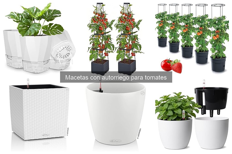 Macetas con Autorriego para Tomates: ¿Qué Son y Cómo Funcionan?