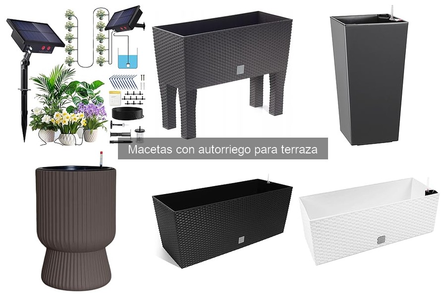 Macetas con Autorriego: ¿Qué Son y Cómo Funcionan?