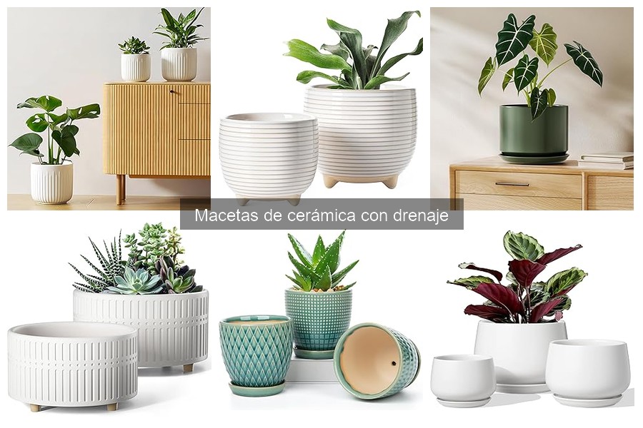 Macetas de Cerámica con Drenaje: Guía para Principiantes