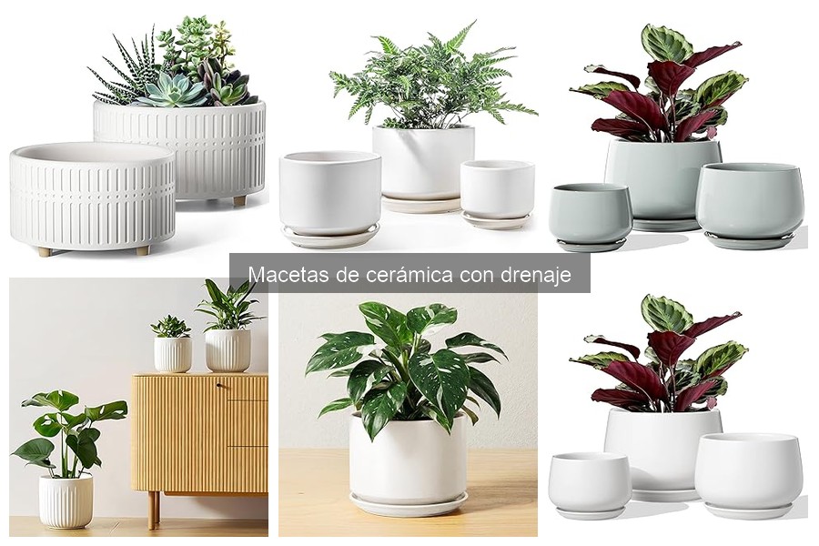 Macetas de cerámica con drenaje: ¿Previenen encharcamientos?