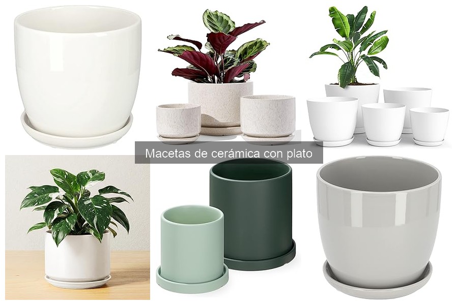 Macetas de Cerámica con Plato: Diseños Únicos y Personalizados