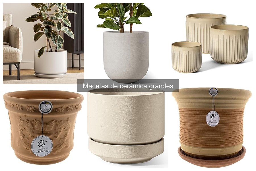 Macetas de Cerámica Grandes: Beneficios y Características