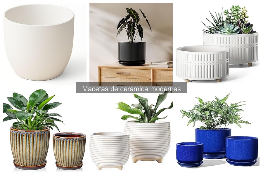 Macetas de cerámica modernas con autorriego: ¿son útiles?