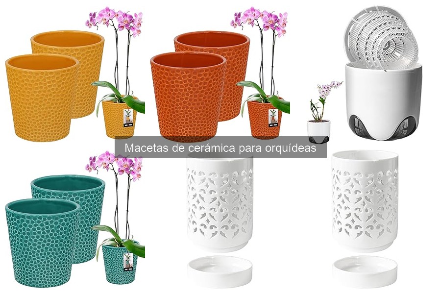 Macetas de Cerámica para Orquídeas: Beneficios y Características