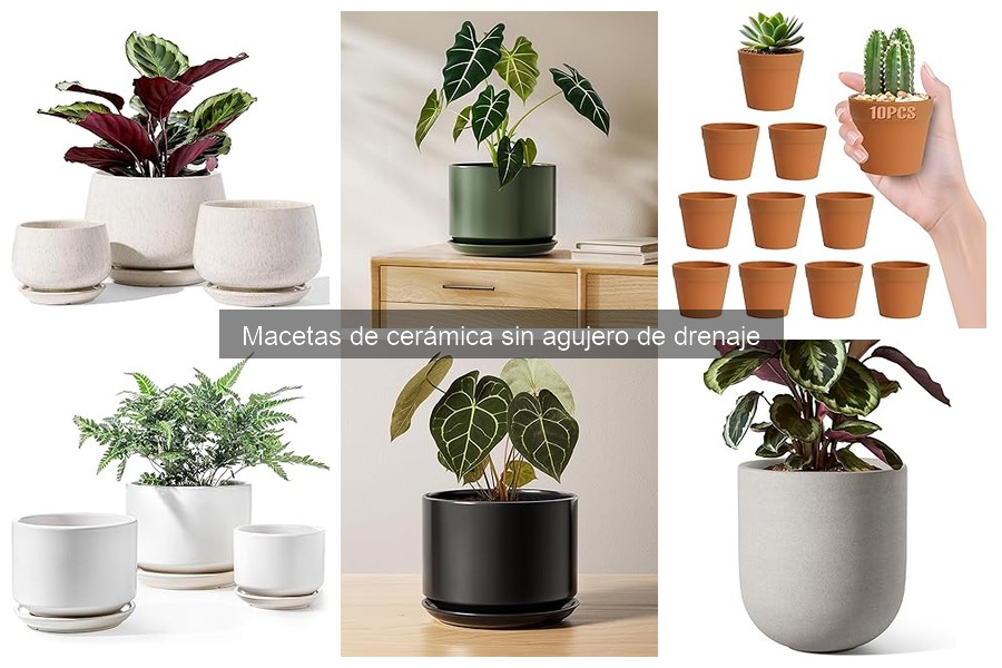 Macetas de Cerámica sin Agujero de Drenaje: Características y Beneficios