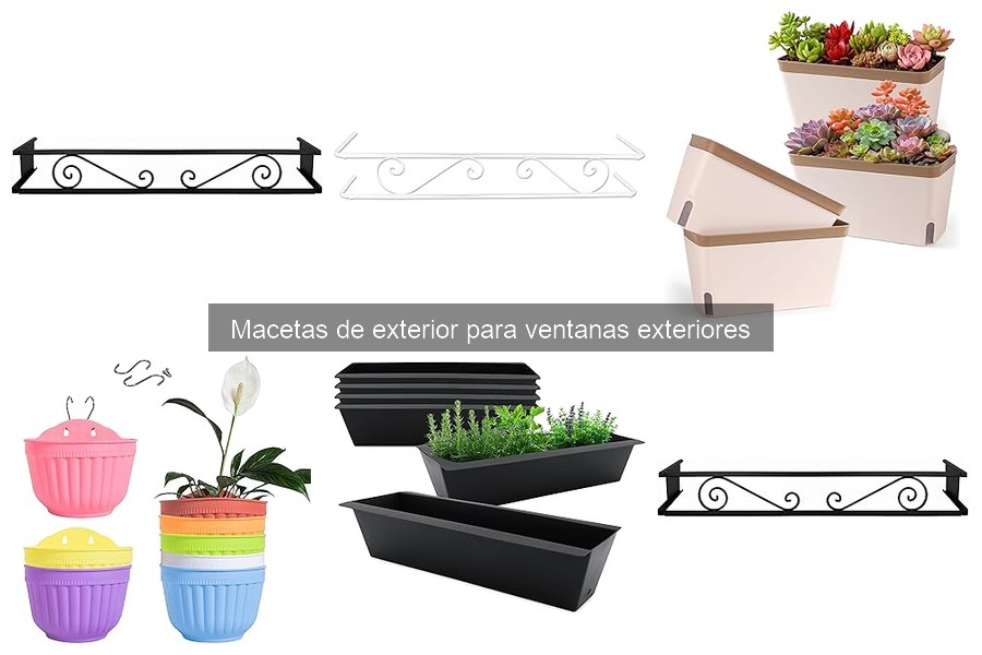 Macetas de Exterior para Ventanas: Mejores Plantas para Cultivar