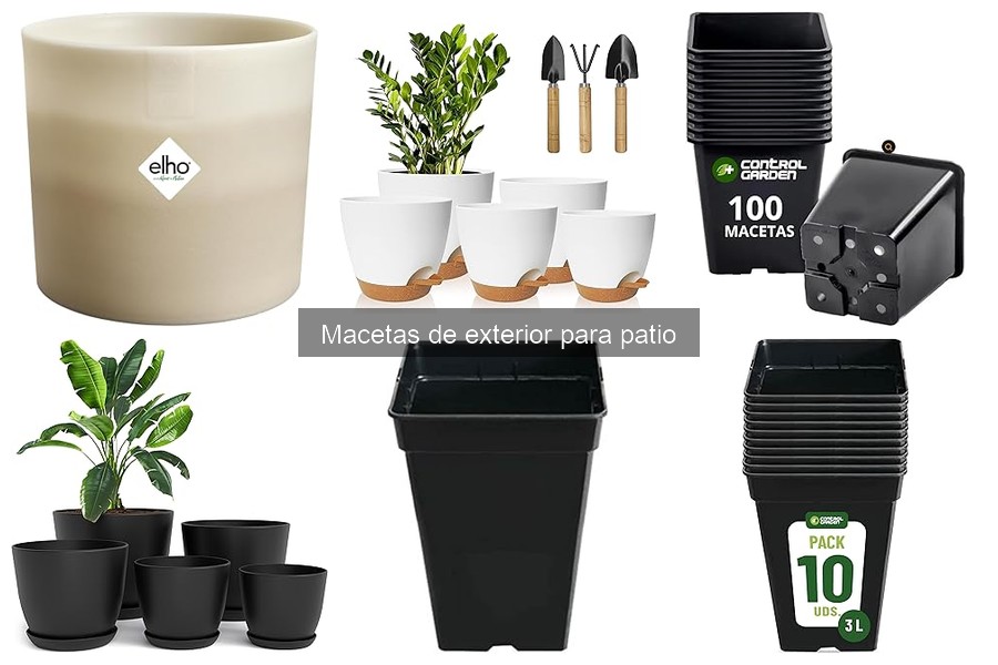 Macetas de Exterior que Resisten el Clima: Guía Completa