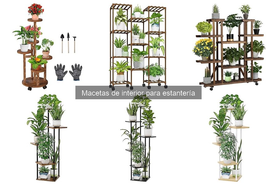 Macetas de interior con riego para estantería: ¡cuida tus plantas!
